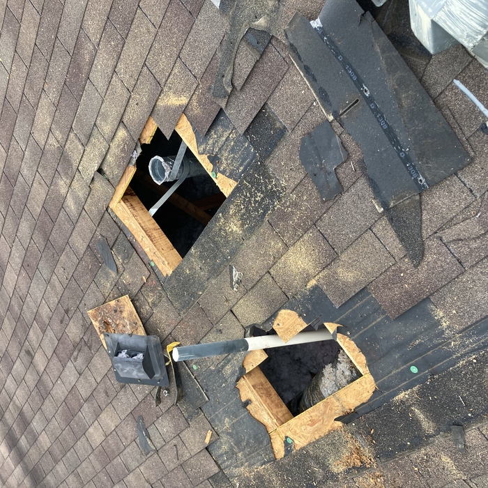 Rotten wood