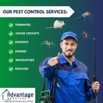 Some of our services