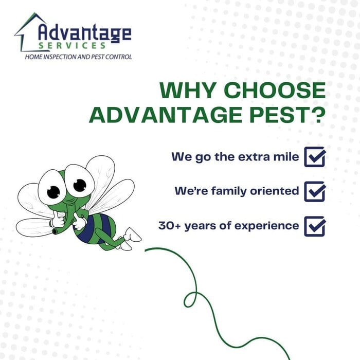 Why choose us
