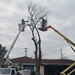 Victoria Jobs 2024