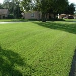Condominium Complex