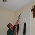 Termite Inspection