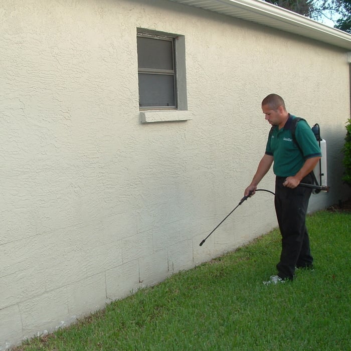 Pest Control Service