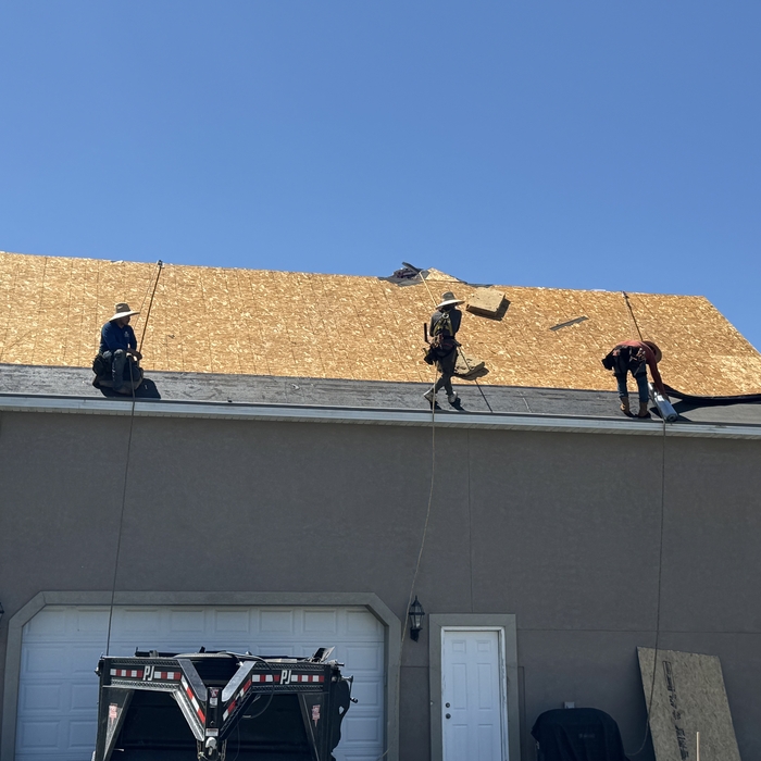 Roof Replacement