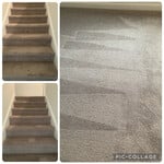 Carpet Cleaning