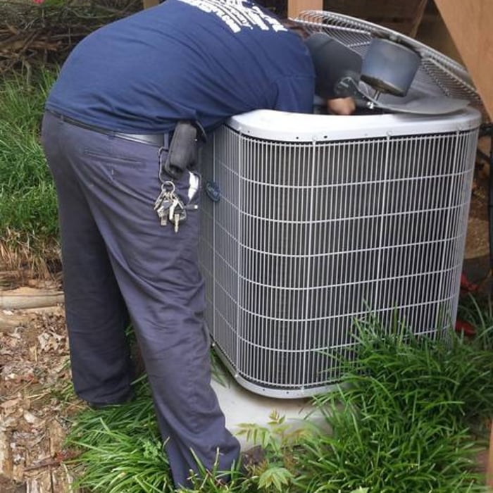 Pictures of our work