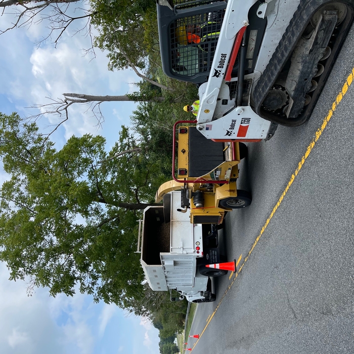 Tree Removal