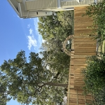 Custom CedarFence