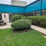 bush trimming