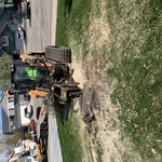 Tree projects