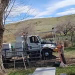Tree projects