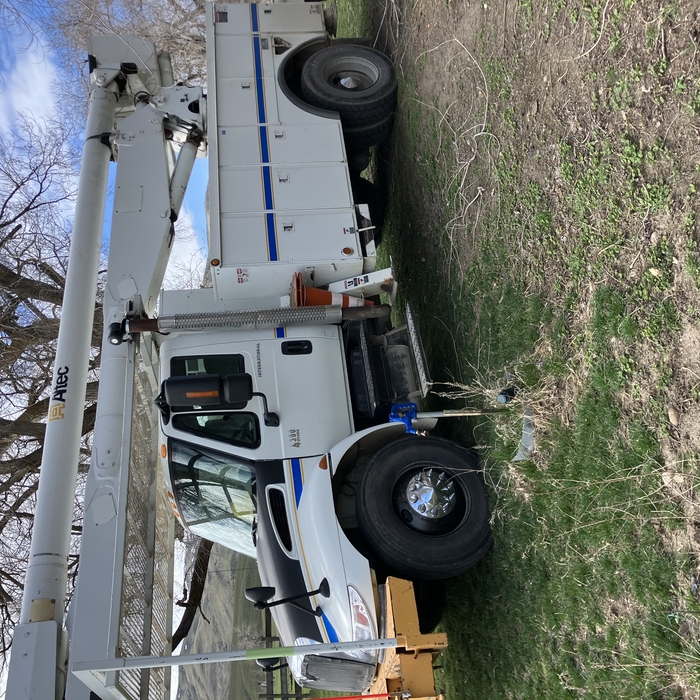 Tree projects