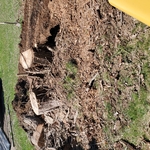 STUMP