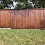 Staining