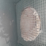 Mesh preventing air flow