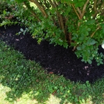Mulching