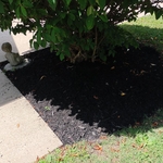 Mulching