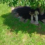 Mulching