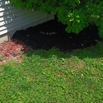 Mulching
