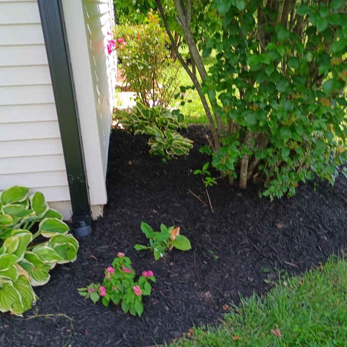 Mulching