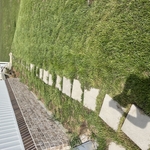 Walkway
