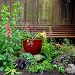 After planting