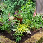 After planting