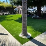synthetic grass front