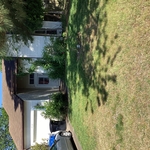 High grass and weeds