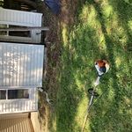 High grass and weeds