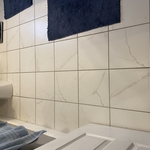 Bathroom before