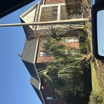 Flat roof restoration