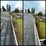 Roof and Gutter
