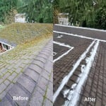 Moss Removal