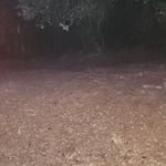 Debris removal