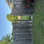 Previous fence & gate