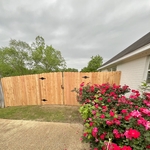 Cedar fence & gate replacement