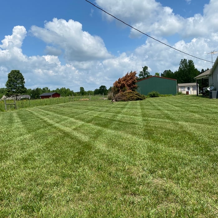 lawncare