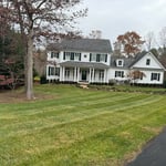 Lawn clean ups
