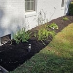 Lawn clean ups