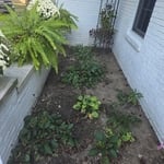 Lawn clean ups