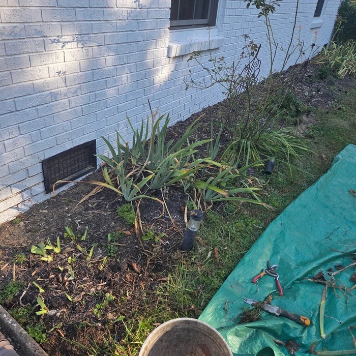 Lawn clean ups