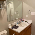 Bathroom remodel