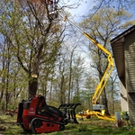 In Need of Assistance? JT Tree is here for you!
