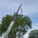 In Need of Assistance? JT Tree is here for you!