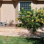Painting and Staining