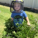 Tree Crew Moments