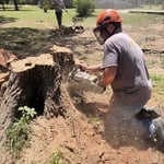 Tree Crew Moments