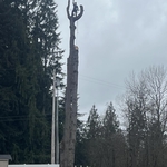 Ivan's Tree Removal Services LLC