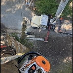 Ivan's Tree Removal Services LLC